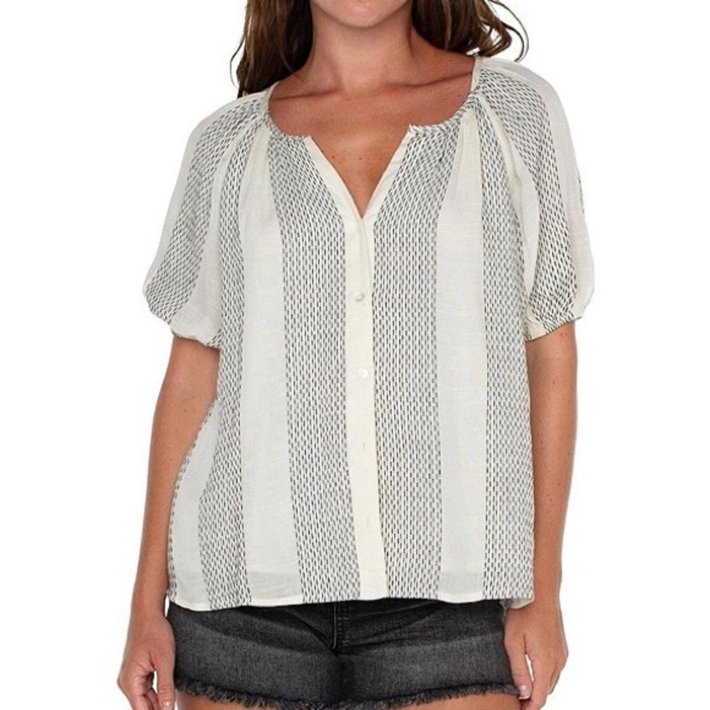 Liverpool Los Angeles | Cotton Voile Stripe Print V Neck Short Puff Sleeve